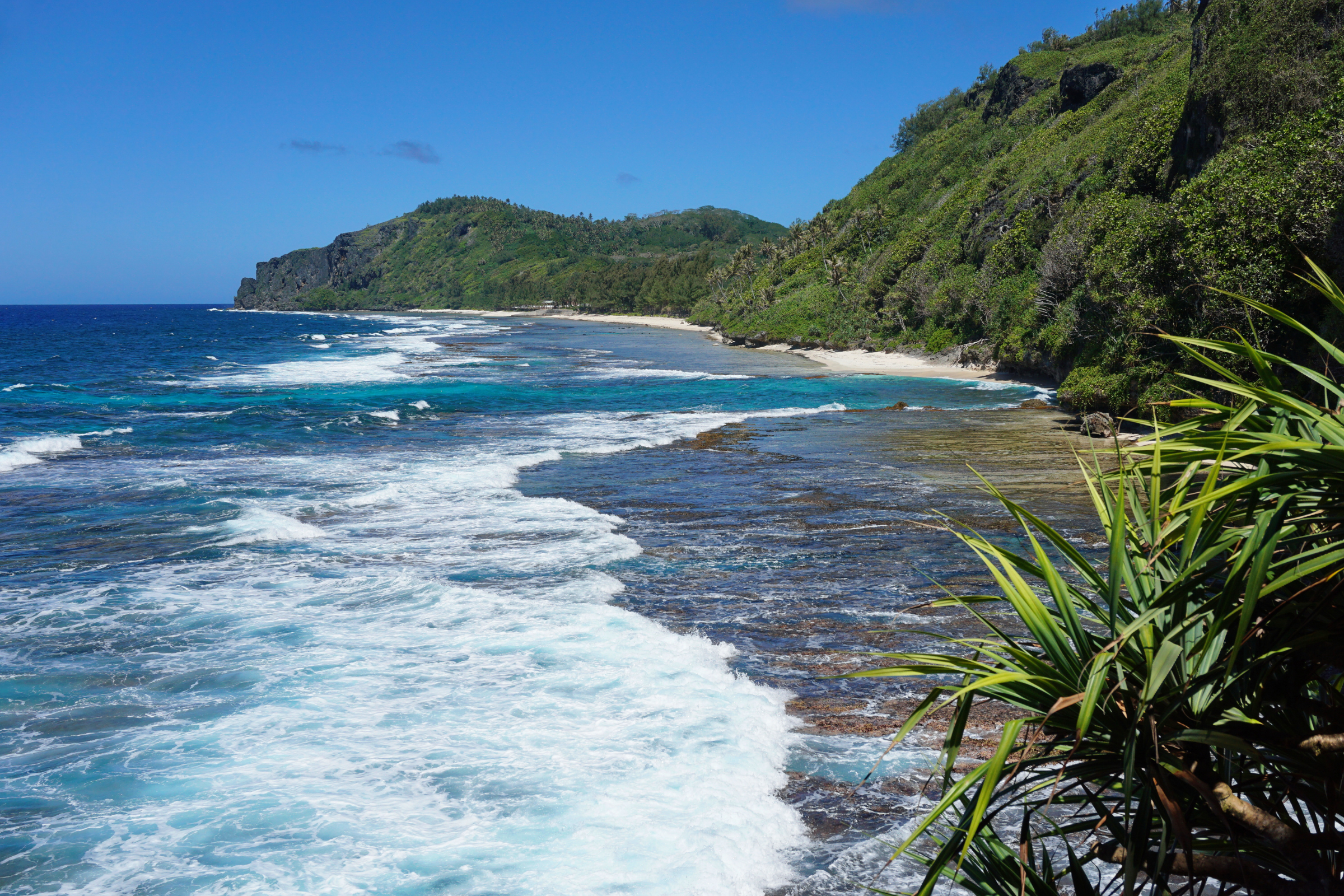 rurutu, austral islands (4).webp